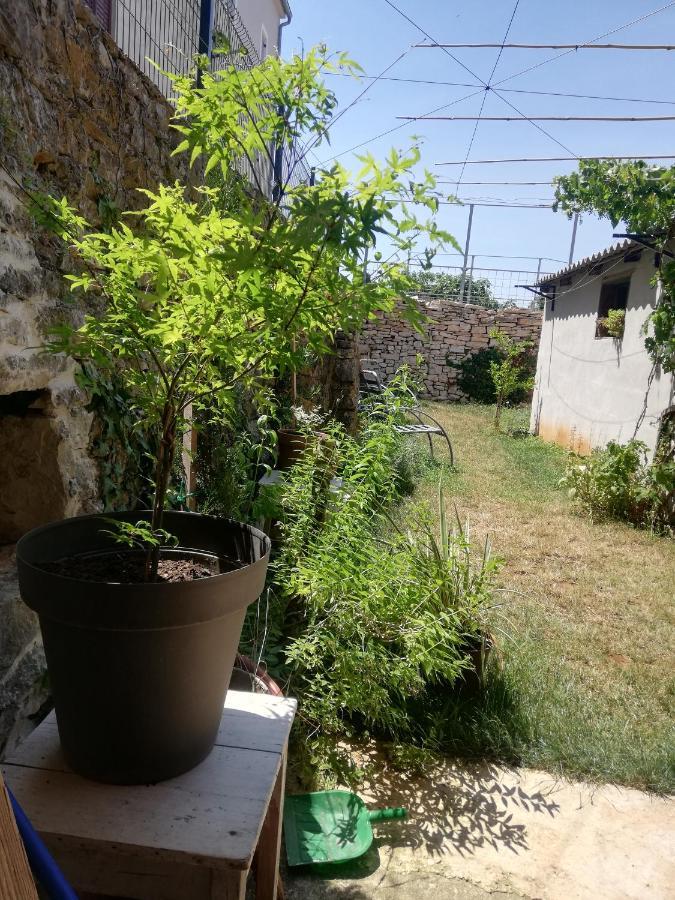شقة Old Istrian House,Free Parking Galižana المظهر الخارجي الصورة